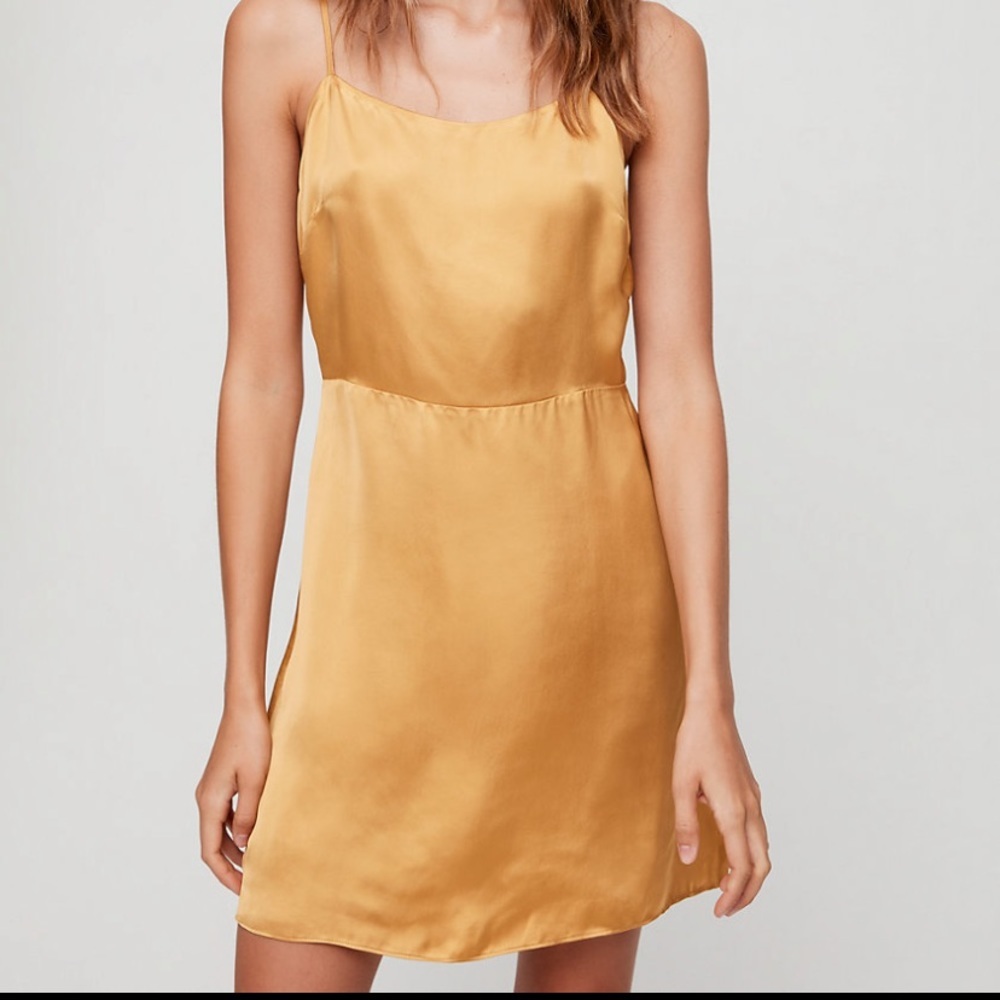 Aritzia Isabelle tank Dress